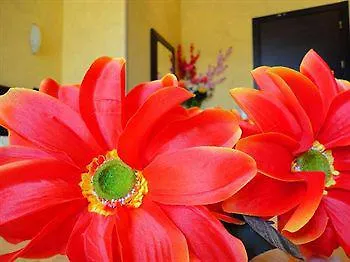 Casa de hóspedes Memole
